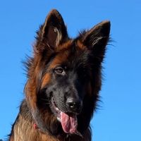 bibi.nyx73