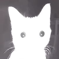 rubyseek0