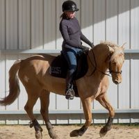 angelina_jump