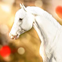 original sound - strideway.eventer