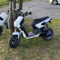 robbekingg