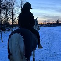 equi_lilly1