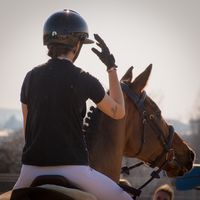 equineamateur