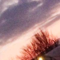 daryus002