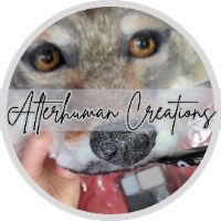alterhuman.creations