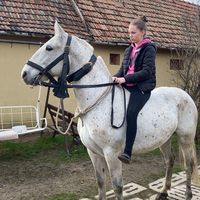 greta06210