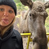 ebbshemlig
