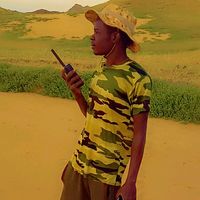 الصوت الأصلي