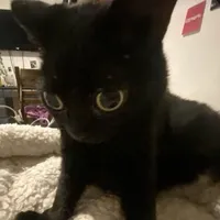 original sound - melisk.ka