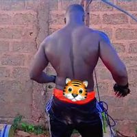 damissa53