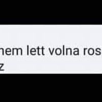 puzser86