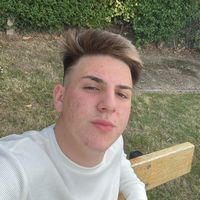 serban101