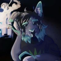 haze.fur