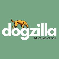 dogzilla_educ