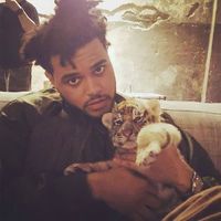 abelssxo_