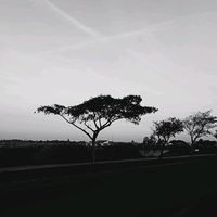 deuxcompte523