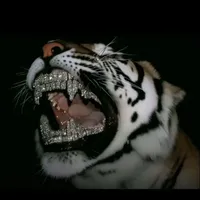 original sound - 679.pluggos