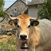 la.ferme.du.48