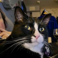 lissy_72
