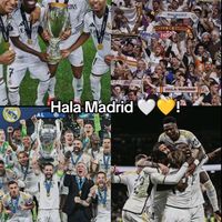 jls_ber31
