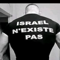 puissancechaoui
