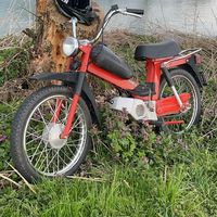branko_smiljevic