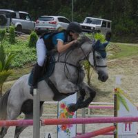 teamescado