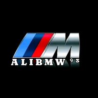ali_bmw_93