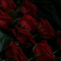 d.books28