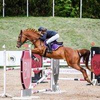 auguste_equestrian