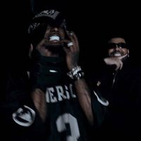 la_flame_cactus