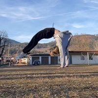 stella.flips._