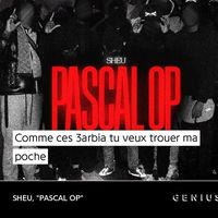 pacino31__
