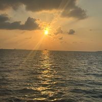 pascal_7311