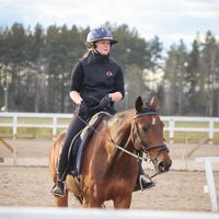 mh_equestrian