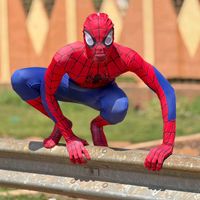 spider.man.de.burkina