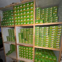 saleemii.autos