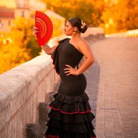 lajolinaflamenca