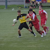 nicopleba_