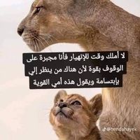 sarrazaoui1
