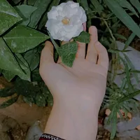 original sound - o3666300