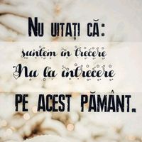 lenutacodreanu2