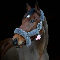 equiwilma