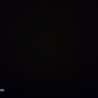 madar_0