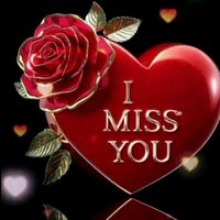noor_jani143tk2