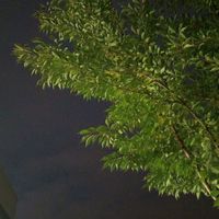 оригінальний звук