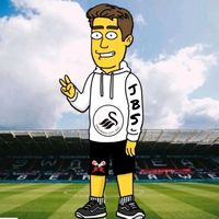 jbswans69