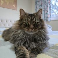 mitziboss1