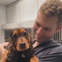 ben.the.vet