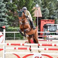_equestrian_sofi